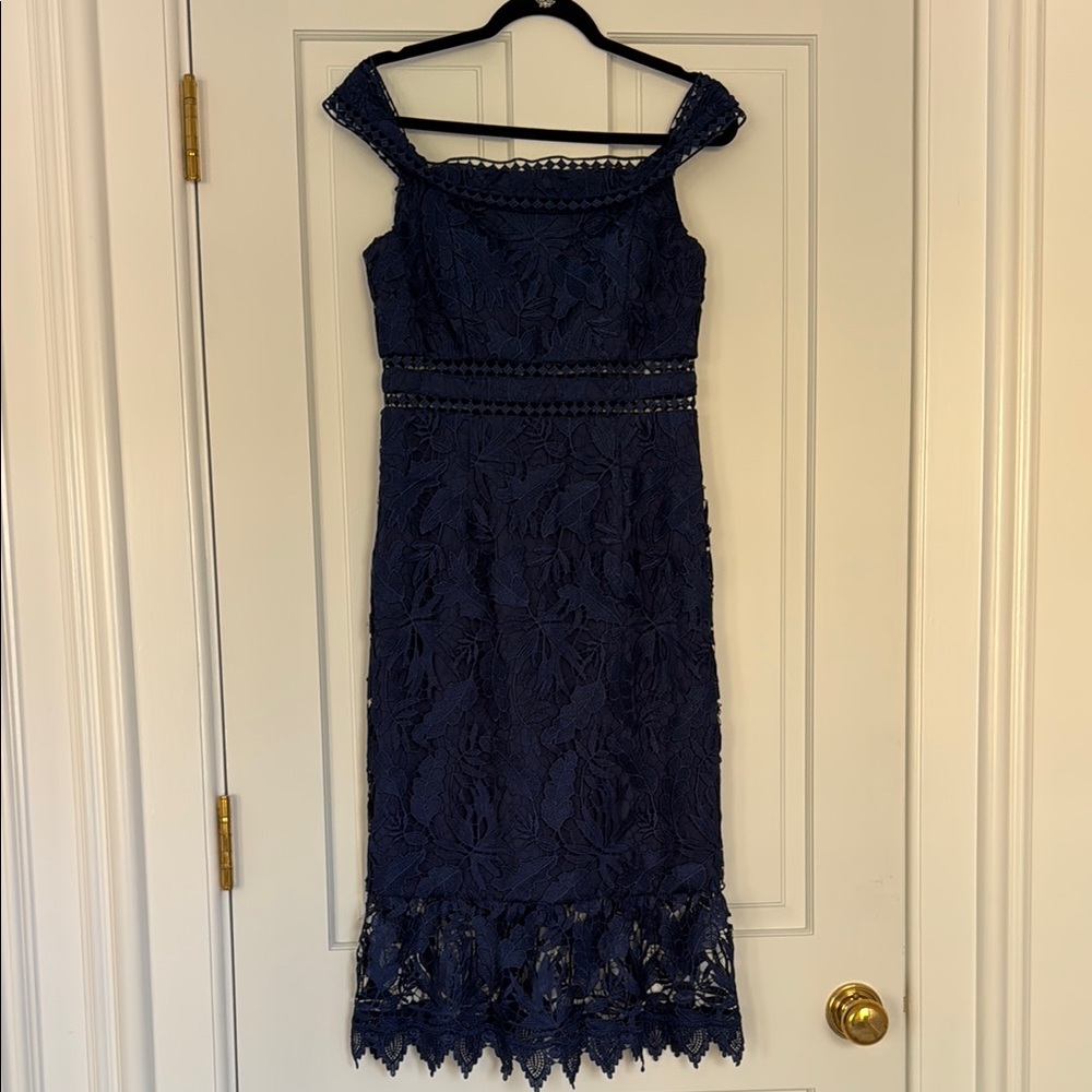 Aidan Blue Lace Midi Dress (Size 8)